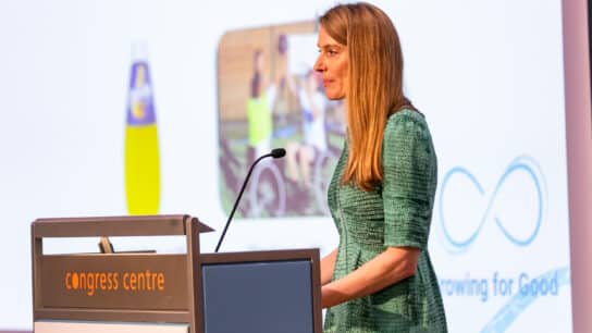 My Journey to Corporate Sustainability: An Interview With Liz Nieboer