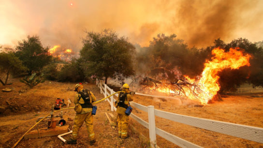 Global Wildfires Set to Rise by 50% by 2100, UN Report Warns