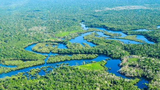 Smartphones and Satellite Data Helped Indigenous Peruvians Protect the Amazon Rainforest – Study