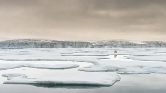 Arctic Sea Ice Update