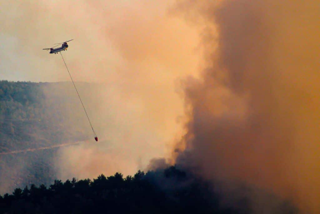 Heat-Related Mortality in Europe Up 30% in Past 20 Years, Report Reveals