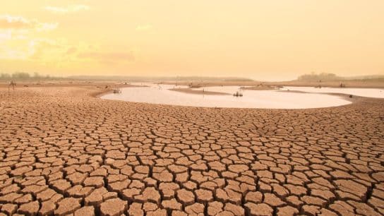 Millions of Africans at Risk of Food and Energy Insecurity, Poverty as Climate Crisis Advances, New Report Finds