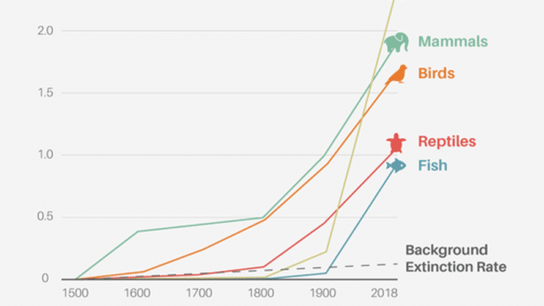 EO Indexes: Extinction